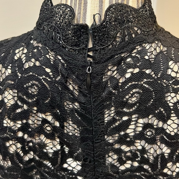 NWT Bodycon midi dress Sz 12 - Picture 5 of 12